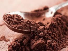 Cacao Powder Regular Organic