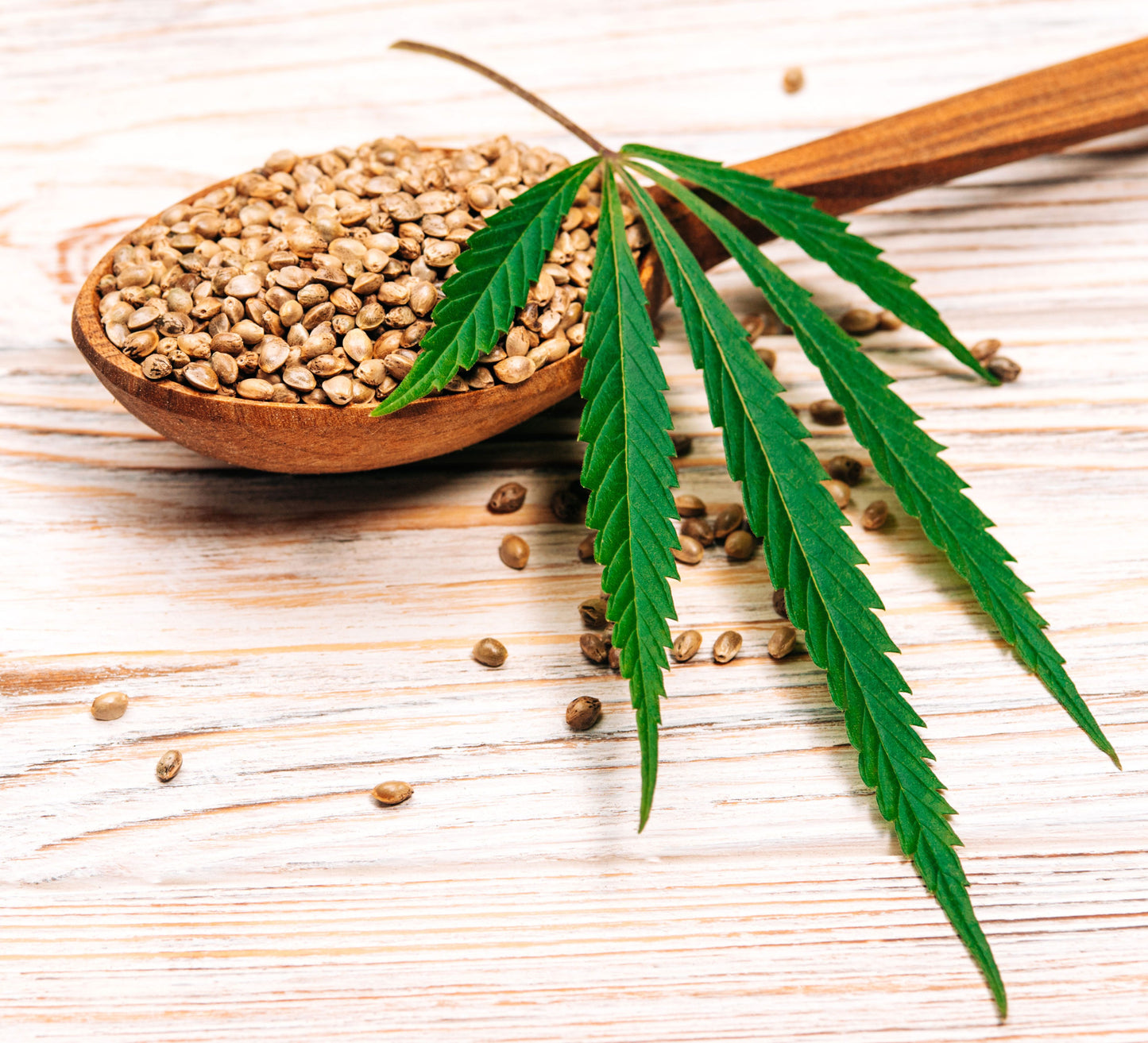 Hemp Seeds Whole Organic